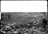 Вид крепиды  Шверинского кургана во время раскопок