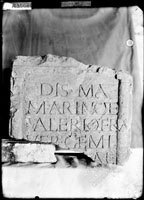 Top of GRAVESTONE with five lines of Latin inscription (of Marius and Valentus, brothers slaves)