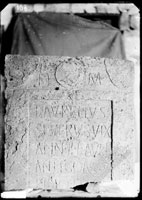 Верхняя часть НАДГРОБИЯ Люция Аврелия Севера с латинской надписью