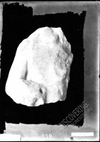 Top fragment of male torso