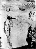 Раскопки на Гераклее, у хутора Бермана