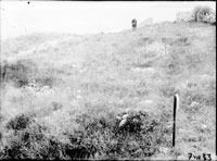 Раскоп 1933 года