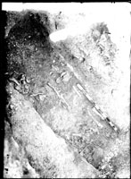 Grave no. 14 after cleaning