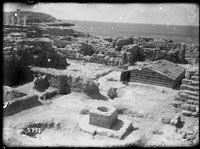 Раскоп 1937 г